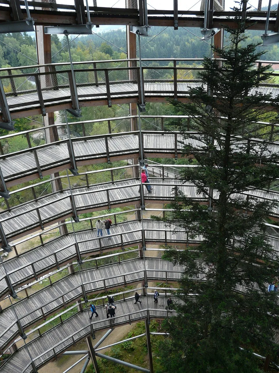 Educational Institution