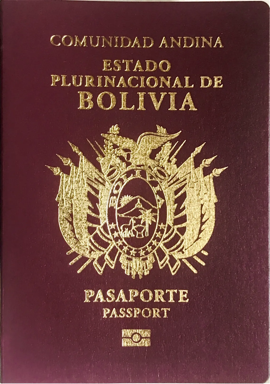 BOLIVIA ONLINE VISA APPLICATION PORTAL